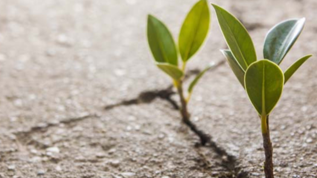 The Gift of Home: Housing the Homeless