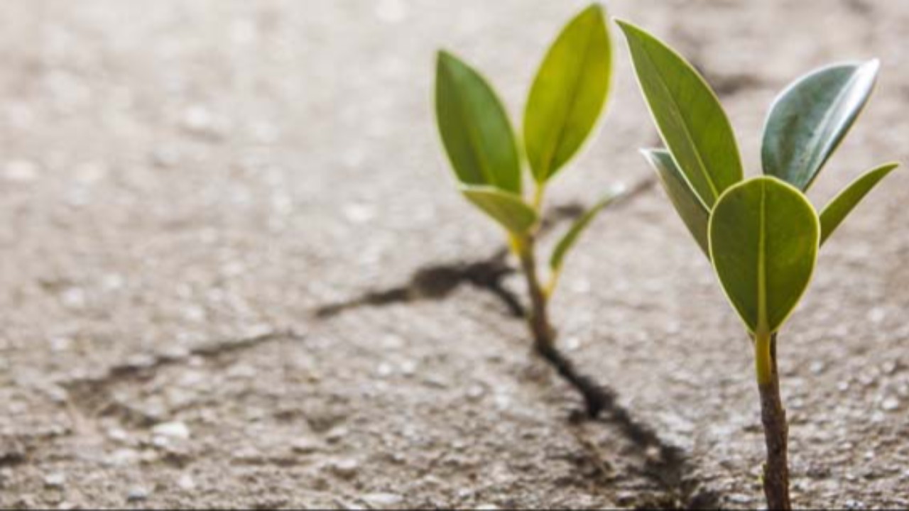 New Housing Support Initiative for Homeless Families